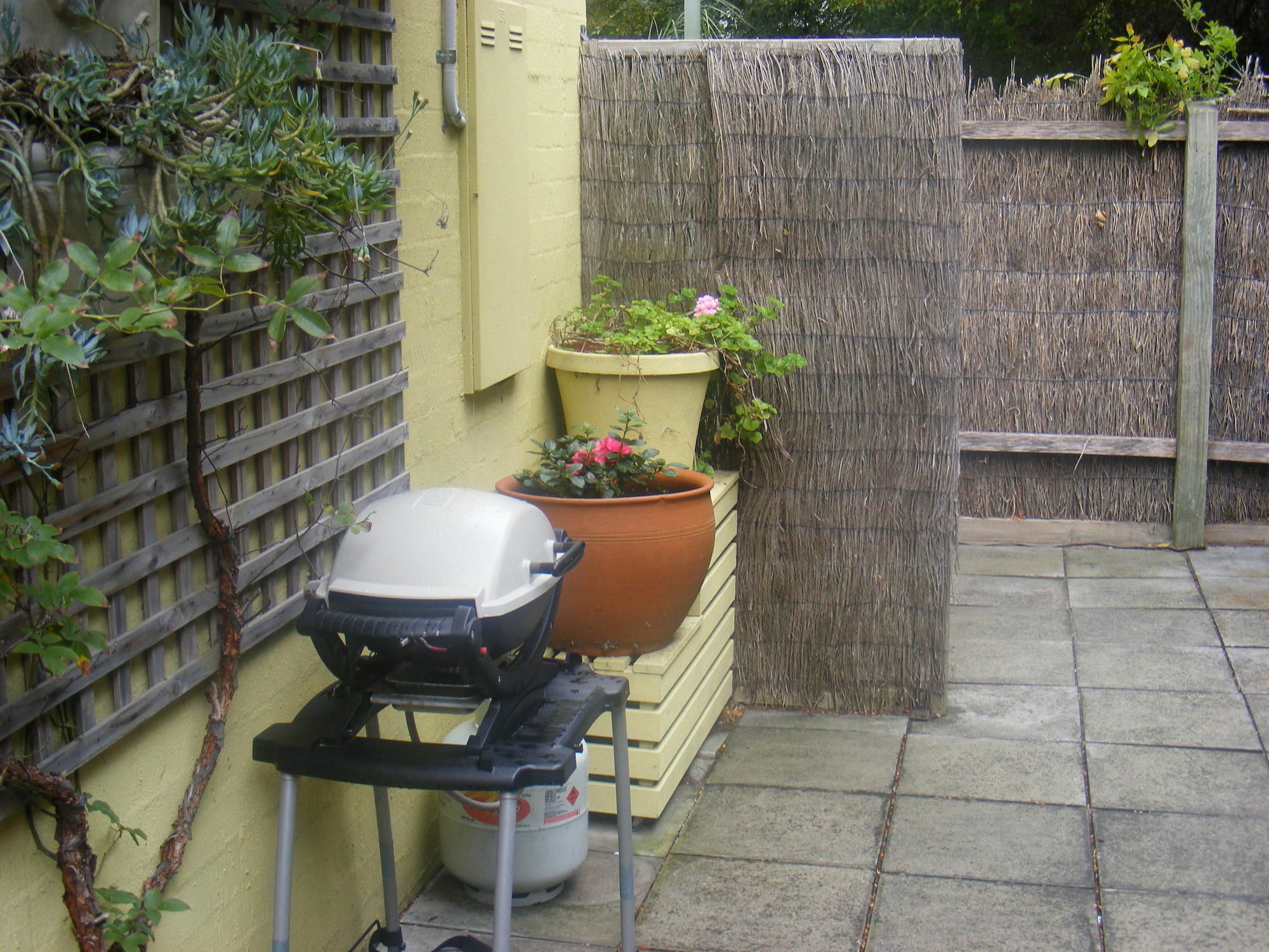 Weeroona Bed And Breakfast Rye Dış mekan fotoğraf