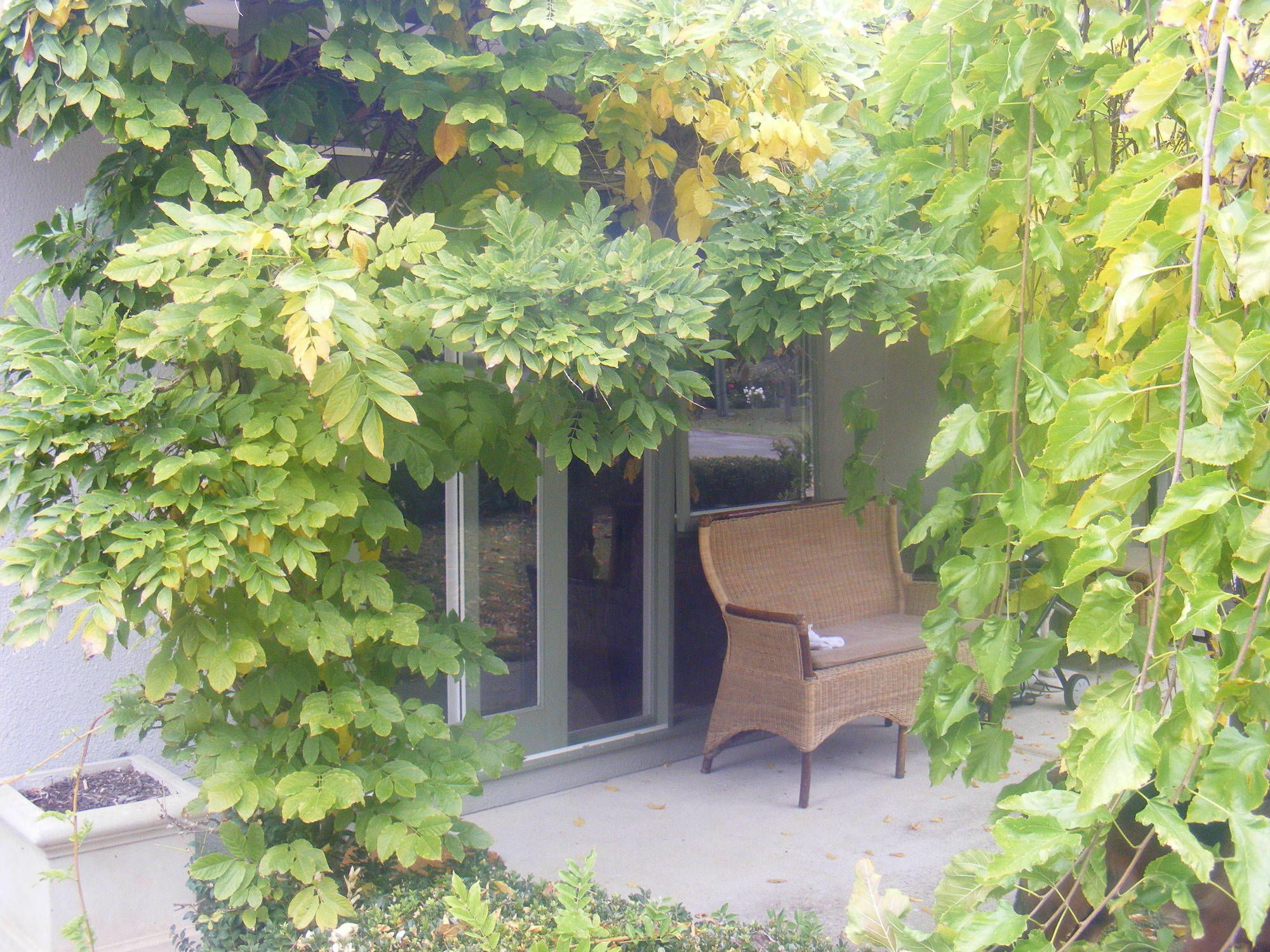 Weeroona Bed And Breakfast Rye Dış mekan fotoğraf